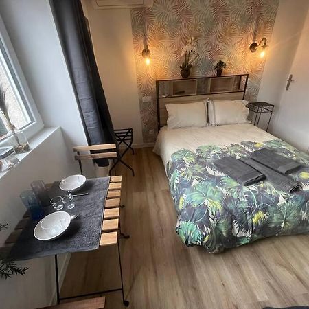 Verdi Studio Cosy Au Calme Parking Gratuit Chasse-sur-Rhône Buitenkant foto