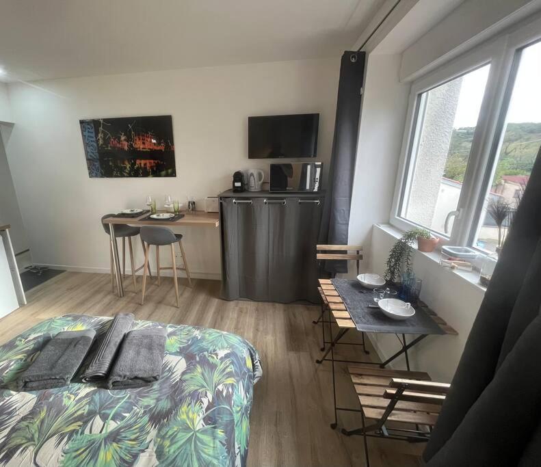 Verdi Studio Cosy Au Calme Parking Gratuit Chasse-sur-Rhône Buitenkant foto