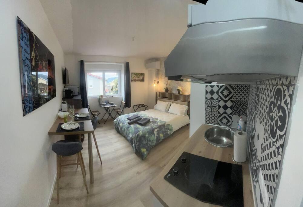 Verdi Studio Cosy Au Calme Parking Gratuit Chasse-sur-Rhône Buitenkant foto