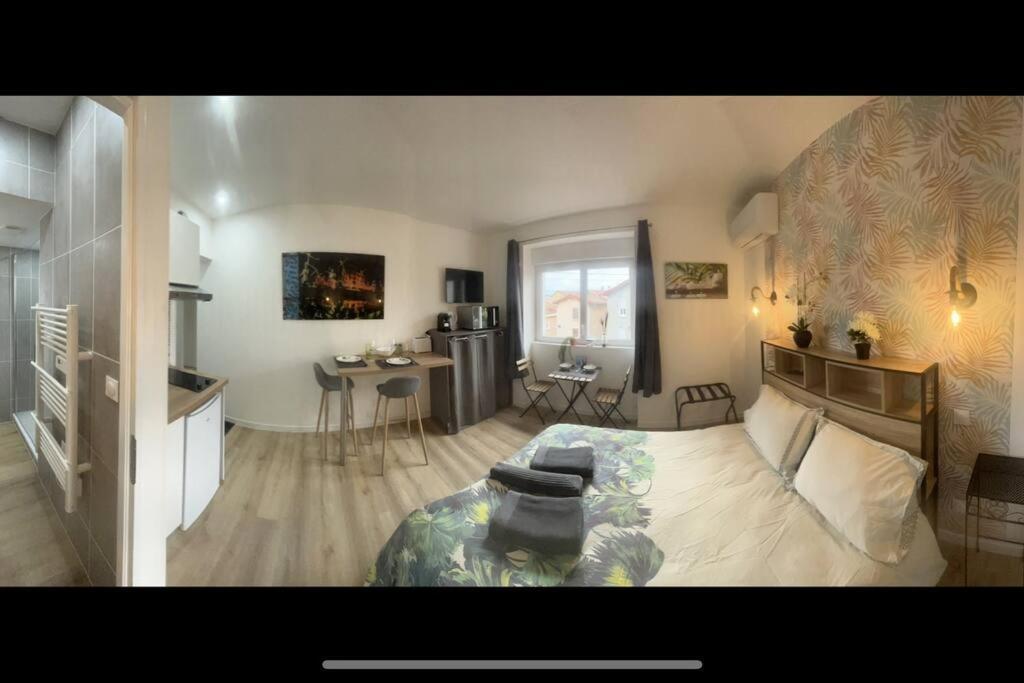 Verdi Studio Cosy Au Calme Parking Gratuit Chasse-sur-Rhône Buitenkant foto